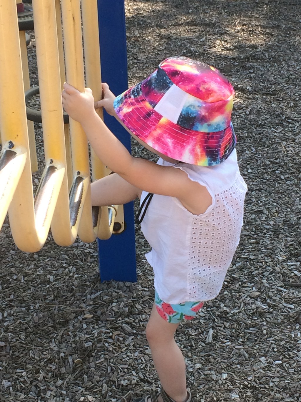 Perks of the&nbsp;Job